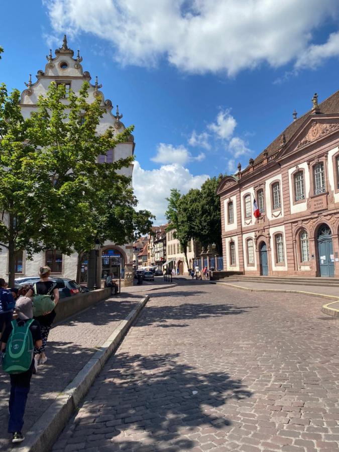 Hello Colmar Luxury Petite Venise 7 Pers Parking Velos Apartment Exterior photo